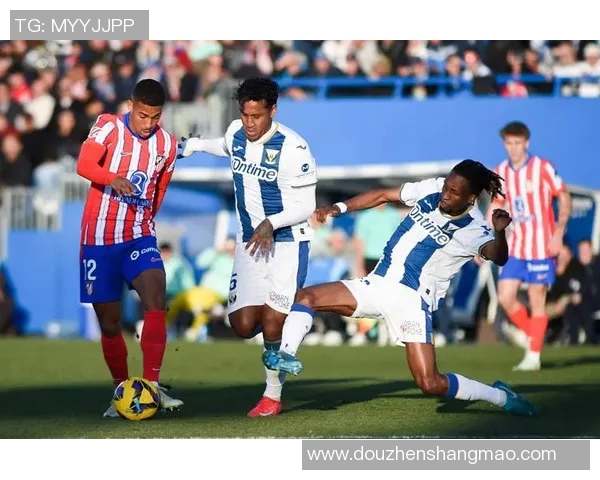 博塔菲戈与巴西国际的精彩对决分析与赛前预测