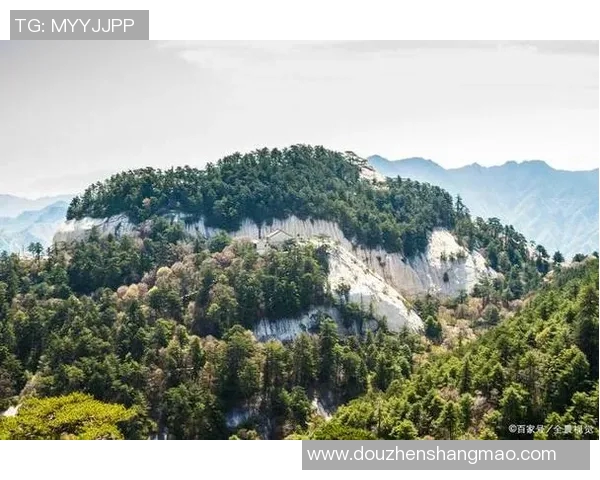 山行与岐阜的奇妙对比探寻自然与人文的交融之美