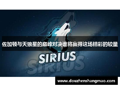 佐加顿与天狼星的巅峰对决谁将赢得这场精彩的较量
