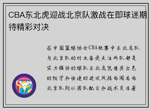 CBA东北虎迎战北京队激战在即球迷期待精彩对决